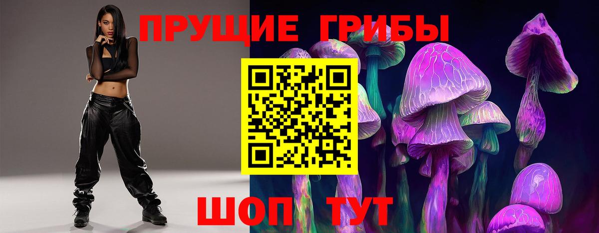 Псилоцибиновые грибы Magic Shrooms  как найти закладки  Чистополь  Вход с VPN  Псилоцибиновые грибы Cubensis 